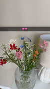 mathilda_bergs Altpins Profile Picture