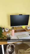 mathilda_bergs Altpins Profile Picture