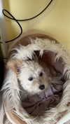 mathilda_bergs Altpins Profile Picture