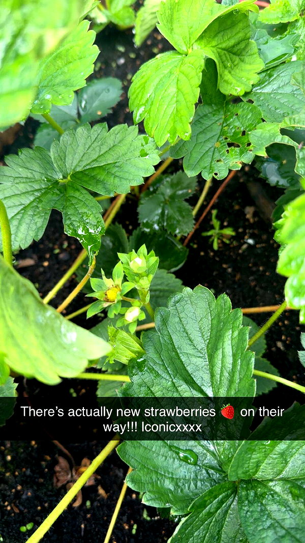 mathilda_bergs snapchat image archive image