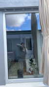 mathilda_bergs Altpins Profile Picture