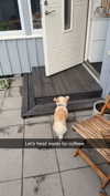 mathilda_bergs Altpins Profile Picture