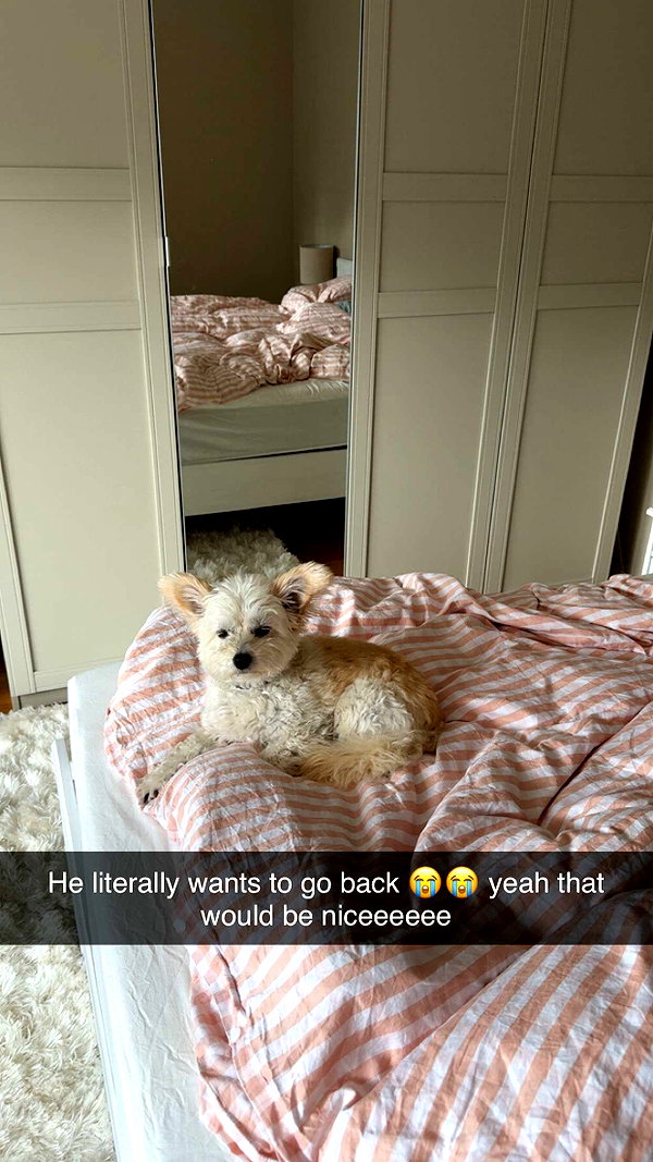 mathilda_bergs snapchat image archive image