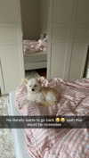 mathilda_bergs Altpins Profile Picture
