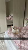 mathilda_bergs Altpins Profile Picture
