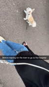 mathilda_bergs Altpins Profile Picture