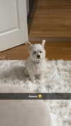 mathilda_bergs Altpins Profile Picture