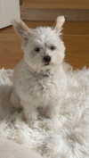 mathilda_bergs Altpins Profile Picture