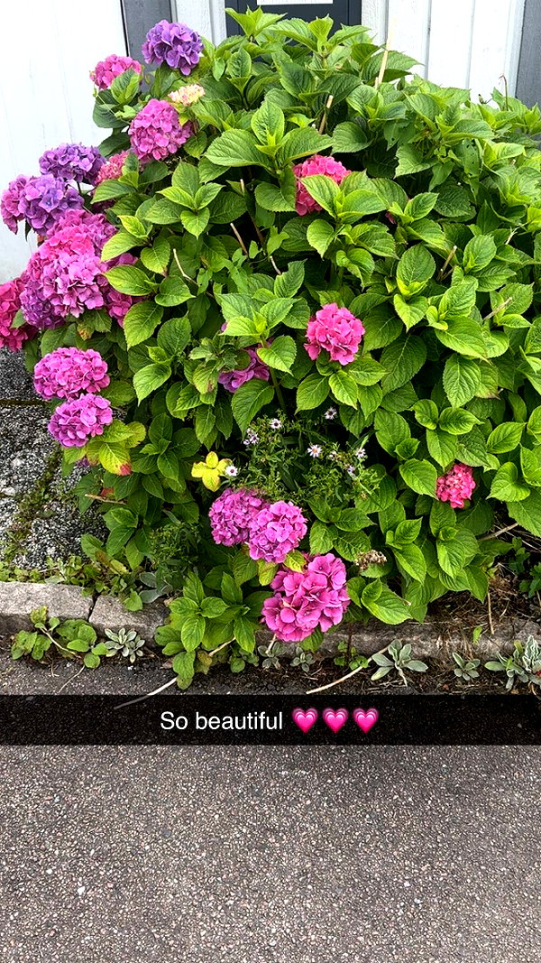 mathilda_bergs snapchat image archive image