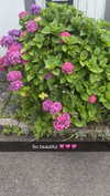 mathilda_bergs Altpins Profile Picture