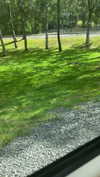 mathilda_bergs Altpins Profile Picture
