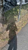 mathilda_bergs Altpins Profile Picture