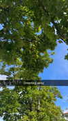mathilda_bergs Altpins Profile Picture