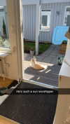 mathilda_bergs Altpins Profile Picture