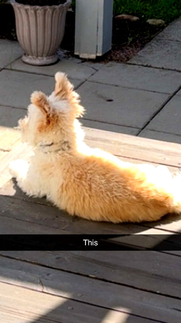 mathilda_bergs snapchat image archive image