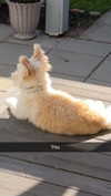 mathilda_bergs Altpins Profile Picture