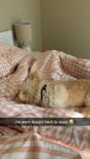 mathilda_bergs Altpins Profile Picture