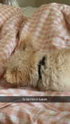 mathilda_bergs Altpins Profile Picture