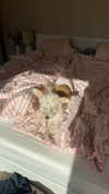 mathilda_bergs Altpins Profile Picture