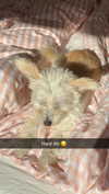 mathilda_bergs Altpins Profile Picture