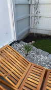 mathilda_bergs Altpins Profile Picture