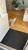 mathilda_bergs Altpins Profile Picture