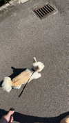 mathilda_bergs Altpins Profile Picture