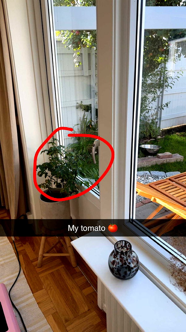 mathilda_bergs snapchat image archive image