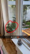 mathilda_bergs Altpins Profile Picture