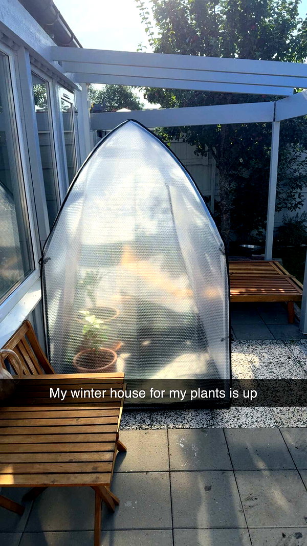 mathilda_bergs snapchat image archive image