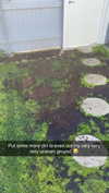 mathilda_bergs Altpins Profile Picture