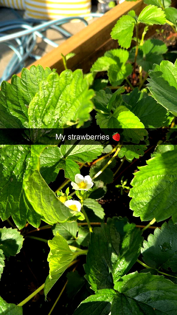 mathilda_bergs snapchat image archive image