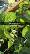 mathilda_bergs Altpins Profile Picture