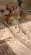 mathilda_bergs Altpins Profile Picture