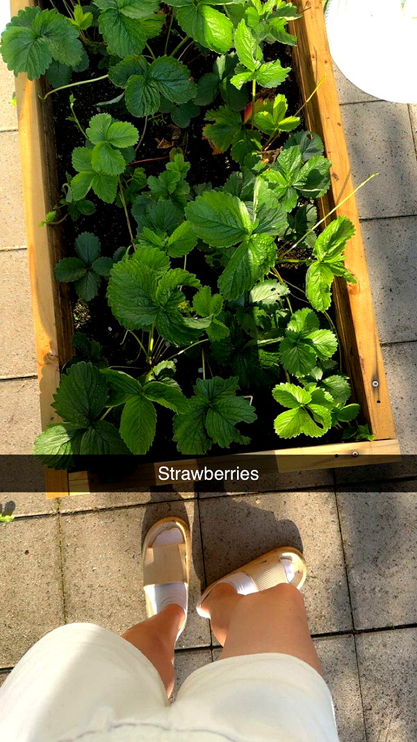 mathilda_bergs snapchat image archive image