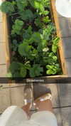 mathilda_bergs Altpins Profile Picture