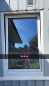 mathilda_bergs Altpins Profile Picture