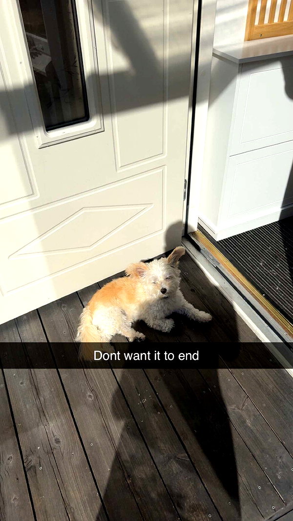 mathilda_bergs snapchat image archive image
