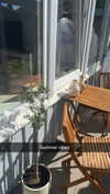 mathilda_bergs Altpins Profile Picture