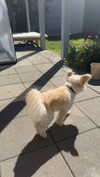 mathilda_bergs Altpins Profile Picture