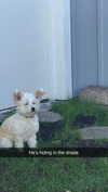 mathilda_bergs Altpins Profile Picture