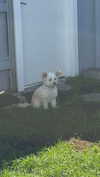 mathilda_bergs Altpins Profile Picture