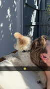 mathilda_bergs Altpins Profile Picture