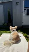 mathilda_bergs Altpins Profile Picture