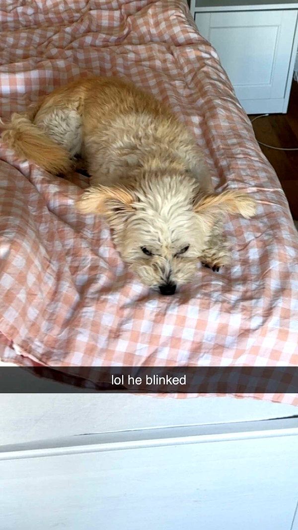 mathilda_bergs snapchat image archive image