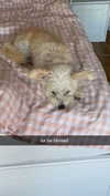 mathilda_bergs Altpins Profile Picture