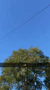 mathilda_bergs Altpins Profile Picture
