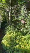 mathilda_bergs Altpins Profile Picture