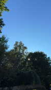 mathilda_bergs Altpins Profile Picture