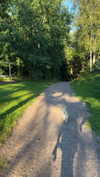mathilda_bergs Altpins Profile Picture